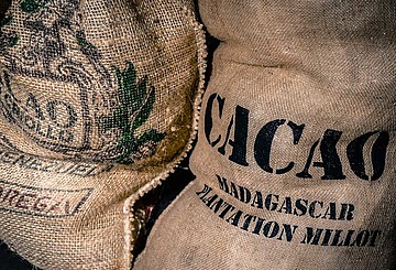 Cacao Fairtrade